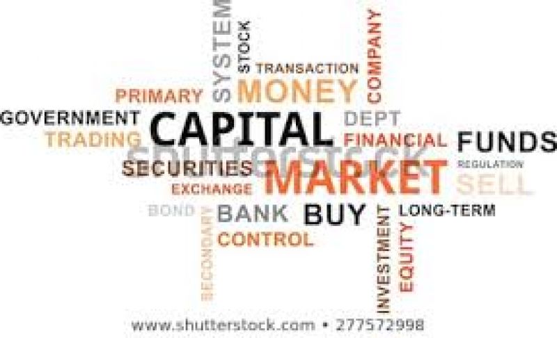 BMS Capital Market (BCM) Ordinance No. 6392