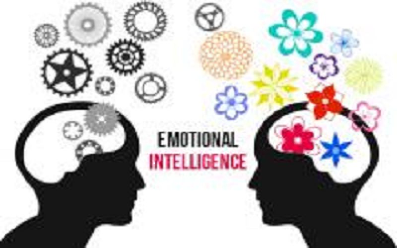 M.A. Emotional Intelligence & Human Relations (MEI&HR) Ordinance No. 6376